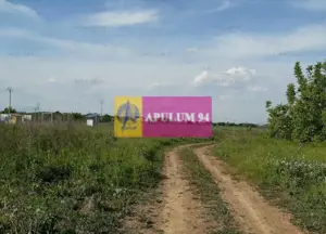 Teren construcție casă - 1 Decembrie - Zona Metropolitană București - imagine 13