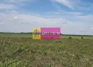 Teren construcție casă - 1 Decembrie - Zona Metropolitană București - imagine 18