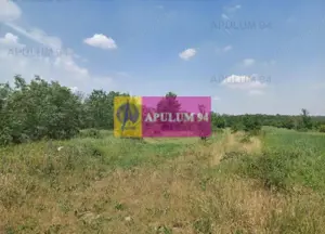 Săbăreni, teren 12620 mp pentru case, lângă pădure - imagine 4