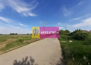 Teren construcție casă - 1 Decembrie - Zona Metropolitană București - imagine 19