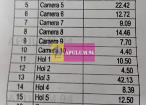 Vila P+1+pod- Parcul Ioanid - imagine 2