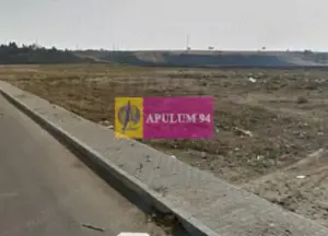 OCAZIE!!! Teren 5000 mp de vanzare in Alexandria - TR - imagine 8