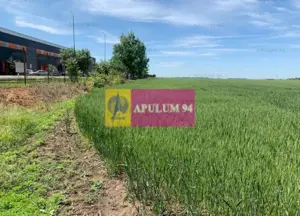 Teren Soseaua Oltenitei- Popesti Leordeni. - imagine 4