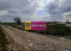 Teren Intravilan  cu front stradal la un Drum Principal langa București - imagine 10