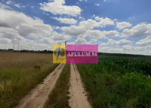 Teren 715mp în Snagov lângă Equestria