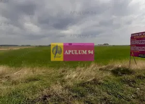 Teren Intravilan  cu front stradal la un Drum Principal langa București - imagine 4