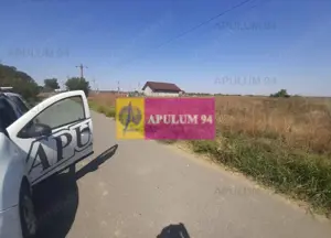 Teren pentru case in 1 Decembrie - imagine 8