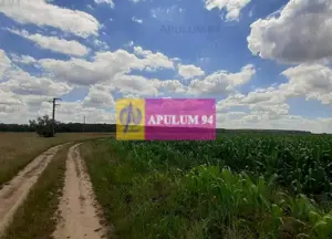 Teren 715mp în Snagov lângă Equestria - imagine 5