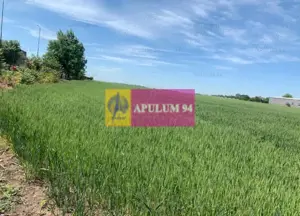 Teren Soseaua Oltenitei- Popesti Leordeni. - imagine 5