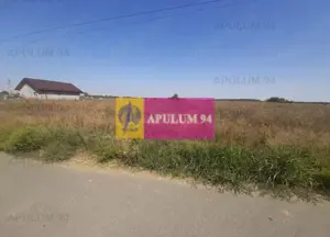 Teren pentru case in 1 Decembrie - imagine 7