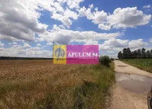 Teren 715mp în Snagov lângă Equestria - imagine 19