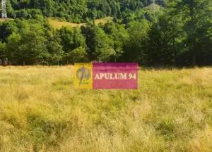 Teren Județul Vâlcea - Brezoi, Valea lui Stan - imagine 4