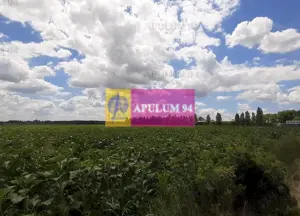 Teren 715mp în Snagov lângă Equestria - imagine 17