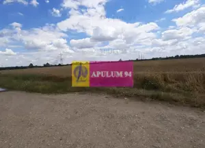 Teren 715mp în Snagov lângă Equestria - imagine 7