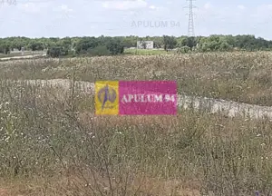 Teren 715mp în Snagov lângă Equestria - imagine 13