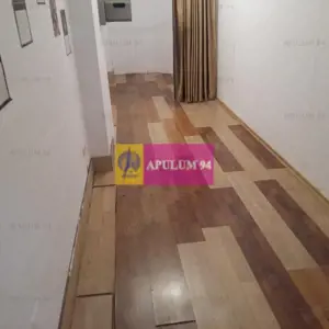 Vila zona Fundeni-Dobroiesti - imagine 4