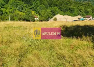 Teren Județul Vâlcea - Brezoi, Valea lui Stan - imagine 3