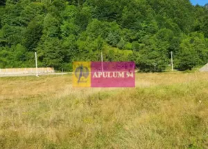 Teren Județul Vâlcea - Brezoi, Valea lui Stan - imagine 14