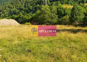 Teren Județul Vâlcea - Brezoi, Valea lui Stan - imagine 20