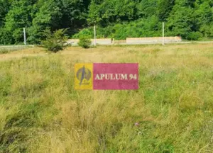 Teren Județul Vâlcea - Brezoi, Valea lui Stan - imagine 12