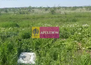 Teren bun mare și ieftin - imagine 10