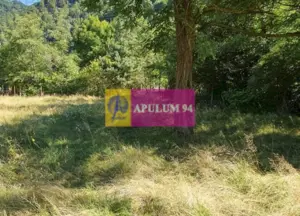 Teren Județul Vâlcea - Brezoi, Valea lui Stan - imagine 11