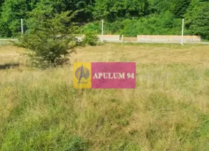 Teren Județul Vâlcea - Brezoi, Valea lui Stan - imagine 19