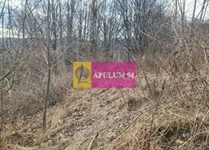 Teren de vânzare în Sinaia - Platou Izvor - imagine 5