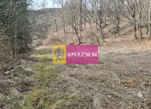 Teren de vânzare în Sinaia - Platou Izvor - imagine 2