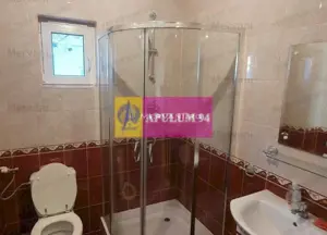 Vila de vanzare in Brebu - Zona Brebu Megiesesc - imagine 7