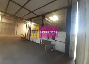 Spatiu Logistic langa Bucuresti Hala 5000 mp - imagine 18