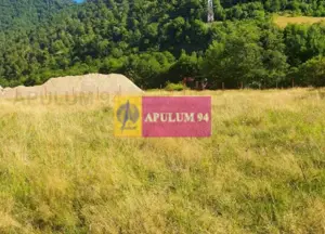 Teren Județul Vâlcea - Brezoi, Valea lui Stan - imagine 18