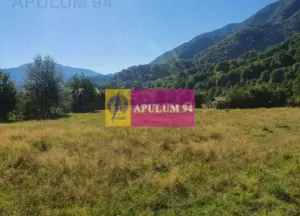 Teren Județul Vâlcea - Brezoi, Valea lui Stan - imagine 7