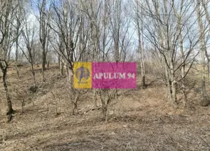 Teren de vânzare în Sinaia - Platou Izvor - imagine 4