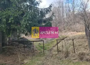 Teren de vânzare în Sinaia - Platou Izvor - imagine 12