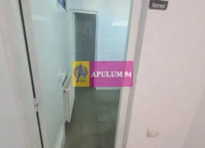 Spațiu comercial de inchiriat - imagine 18