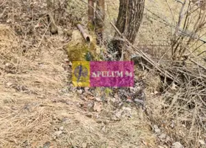 Teren de vânzare în Sinaia - Platou Izvor - imagine 7