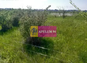 Teren bun mare și ieftin - imagine 12