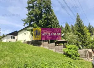 Vilă de vânzare în Bușteni - Zona Zamora - imagine 3 Vilă de vânzare în Bușteni - Zona Zamora - imagine 3