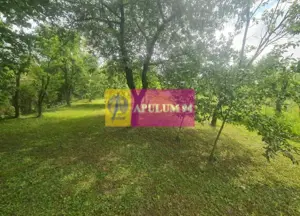 Casă de vânzare în Bănești - imagine 15 Casă de vânzare în Bănești - imagine 15