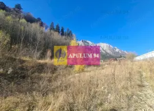 Teren intravilan de vânzare în Bușteni - Zona centrala - imagine 10