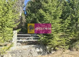 Teren de vânzare în Predeal - Zona Forban - imagine 8