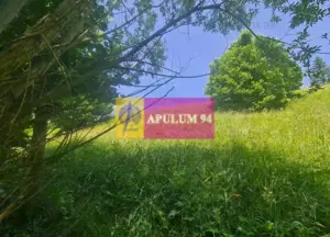 Teren de vânzare în Bușteni - Zona Zamora