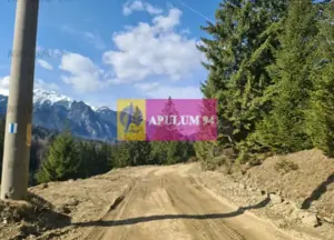 Teren de vânzare în Predeal - Zona Forban - imagine 5