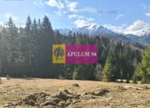 Teren de vânzare în Predeal - Zona Forban - imagine 6