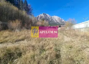 Teren intravilan de vânzare în Bușteni - Zona centrala - imagine 11