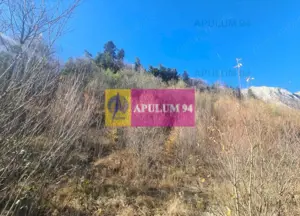 Teren intravilan de vânzare în Bușteni - Zona centrala - imagine 9