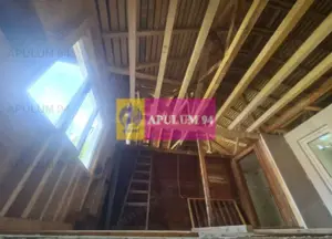 Vilă de vânzare în Bușteni - imagine 14