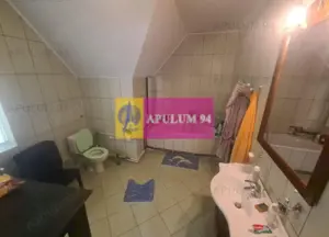 Vilă de vânzare în Bușteni - imagine 19