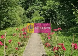 Casă de vânzare în Provița de Jos - imagine 16